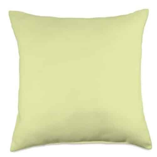 BALDWIN ALOE PILLOW