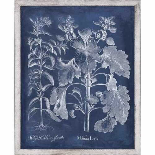 BESLER LEAVES IN INDIGO I