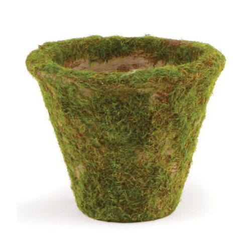 3″ MOSS POT