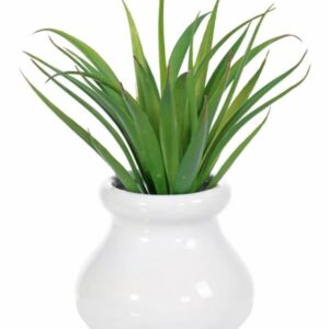 SMOOTH AGAVE GREEN FAKE POTTED PLANT