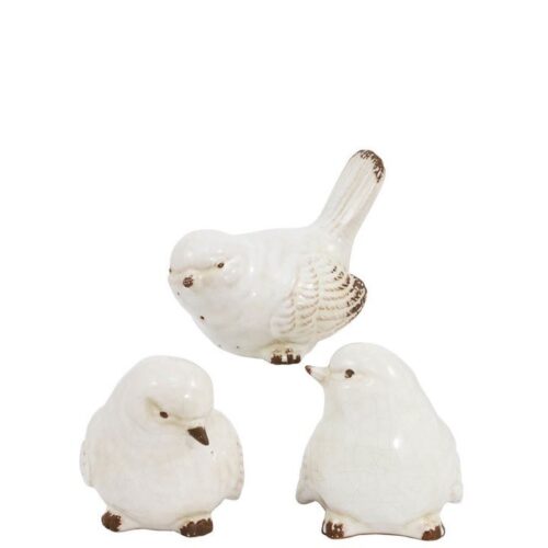 CURIOUS BIRDS SET OF 3