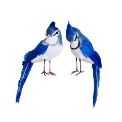 BLUE JAY (SET OF 2)