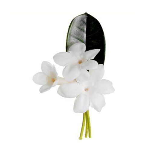 STEPHANOTIS BOUTONNIERE, 4″