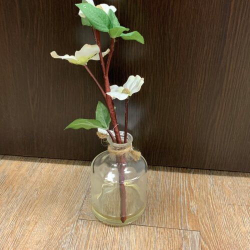 Dogwood In Glass Vase