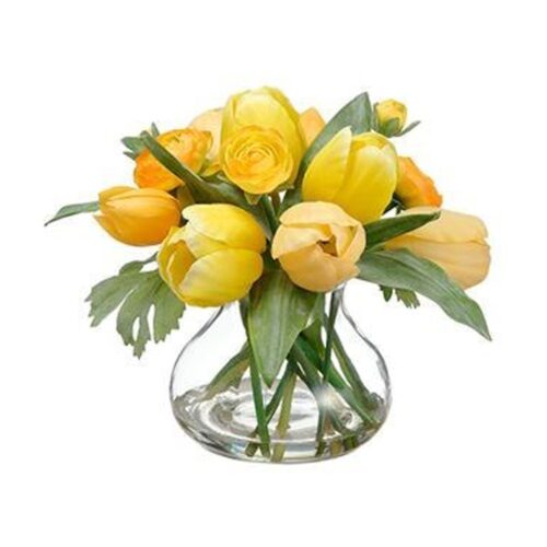 TULIP / RANUNCULUS IN GLASS