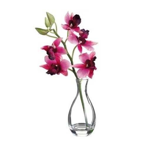 10″ VANDA ORCHID IN GLASS VASE