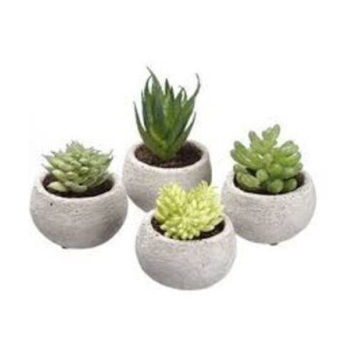 SEDUX FAUX SUCCULENT PLANT IN CEMENT POT