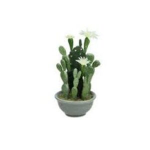 Cactus garden in ceramic vase