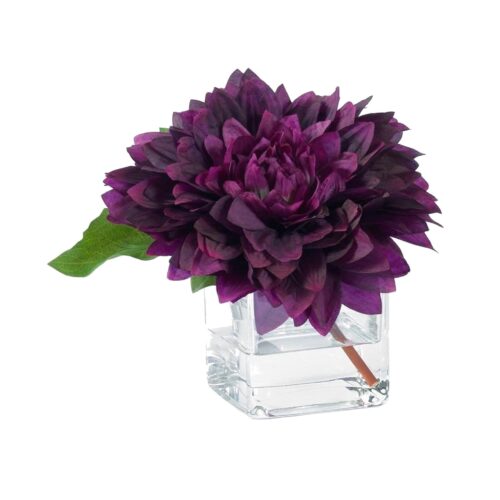 PURPLE DAHLIA