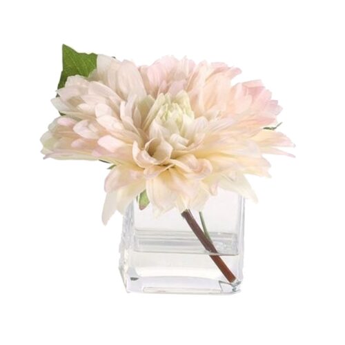 BLUSH DAHLIA IN WATER ACCENT VASE