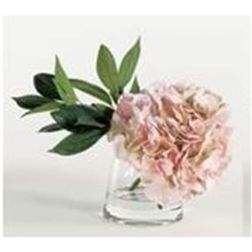 SINGLE BLUSH HYDRANGEA IN PYRAMID VASE