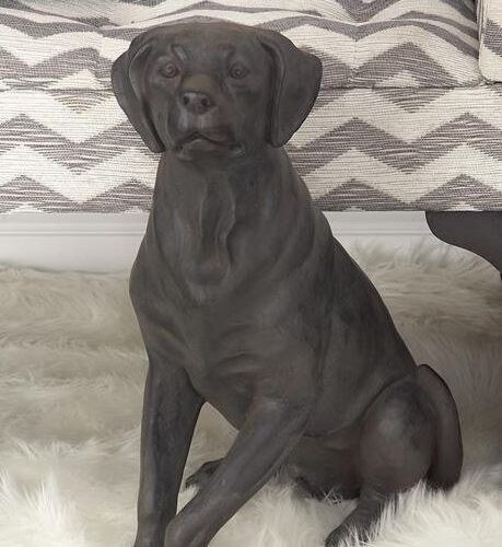 BLACK LABRADOR DOG