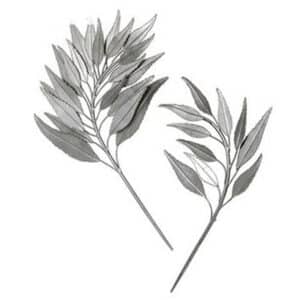 Palm Branches Metal Wall Decor set of 2