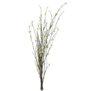 BAMBOO BRANCH, 26″