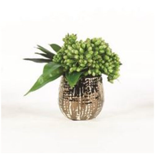 SEDUM IN BRONZE PLANTER