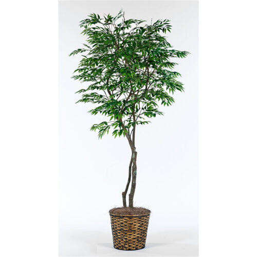 7′ RUSKUS TREE IN BASKET