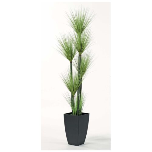 GREEN GRASS TREE