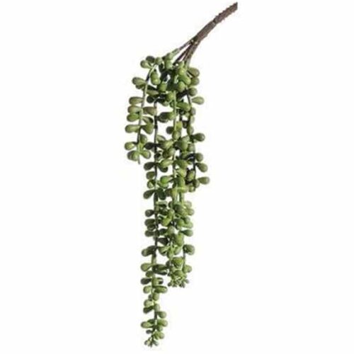 STRING OF PEARLS SPRAY