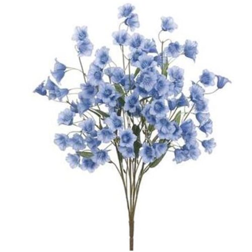 BELLFLOWER BUSH, BLUE