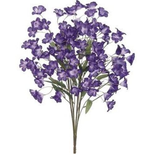 BELLFLOWER BUSH, PURPLE