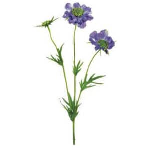 REAL TOUCH SCABIOSA SPRAY