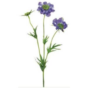 REAL TOUCH SCABIOSA SPRAY