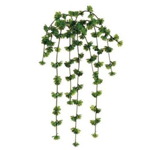 20″ SOFT TOUCH SEDUM VINE X9 GREEN