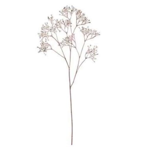 31″ GYPSOPHILA SPRAY CREAM