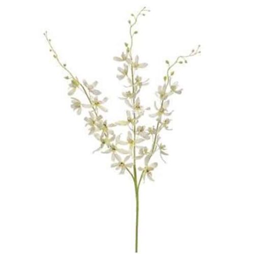 39″ DENDROBIUM ORCHID SPRAY X3 CREAM