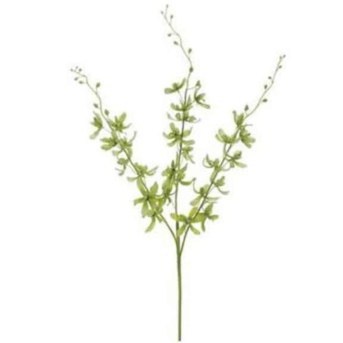 39″ DENDROBIUM ORCHID SPRAY X3 GREEN CREAM