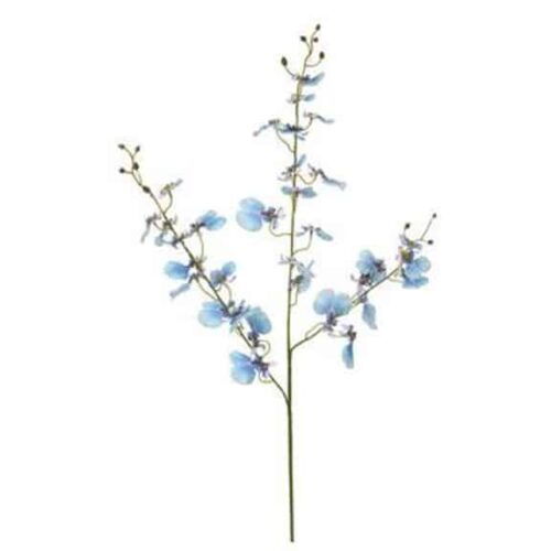 38″ ONCIDIUM ORCHID SPRAY BLUE