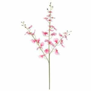 38″ ONCIDIUM ORCHID SPRAY TWO TONE PINK