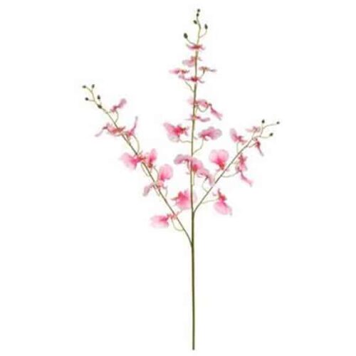 38″ ONCIDIUM ORCHID SPRAY TWO TONE PINK