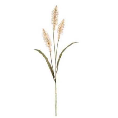 33″ PENNISETUM SPRAY CREAM