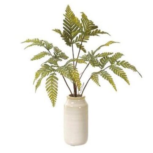 11″ Silver Cloak Fern in Ceramic Vase Green