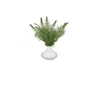 11.5″ Fern in Ceramic Vase