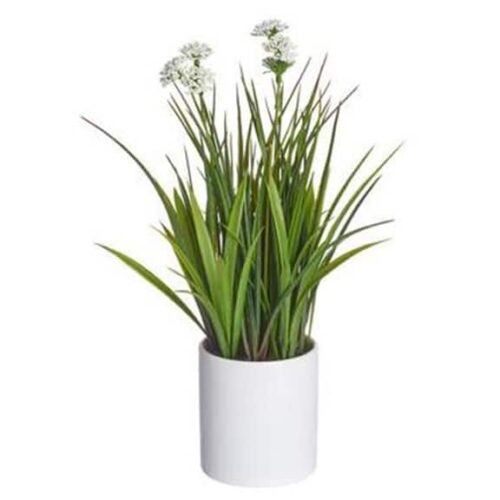 12″ BLOOMING GRASS IN CERAMIC POT WHITE