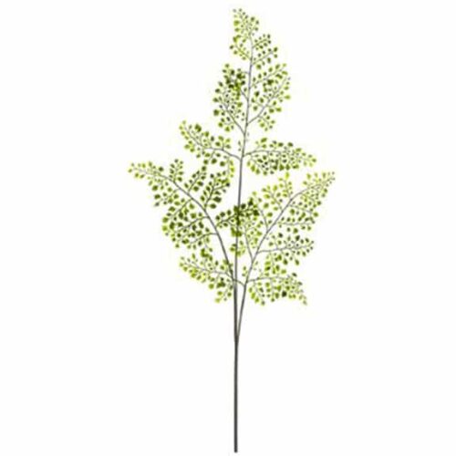 33″ FOREST MAIDENHAIR FERN SPRAY GREEN