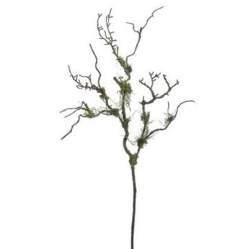 MOSS TWIG BRANCH