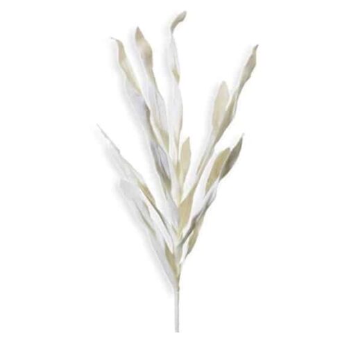 WHITE REED STEM