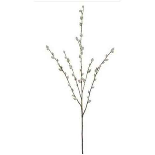 GRAY PUSSY WILLOW SPRAY