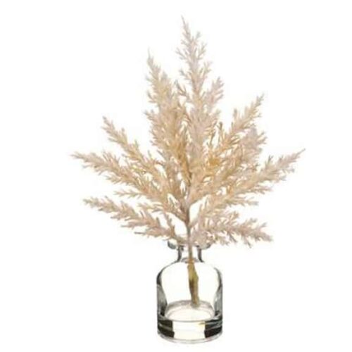 PAMPAS IN GLASS VASE, WHITE