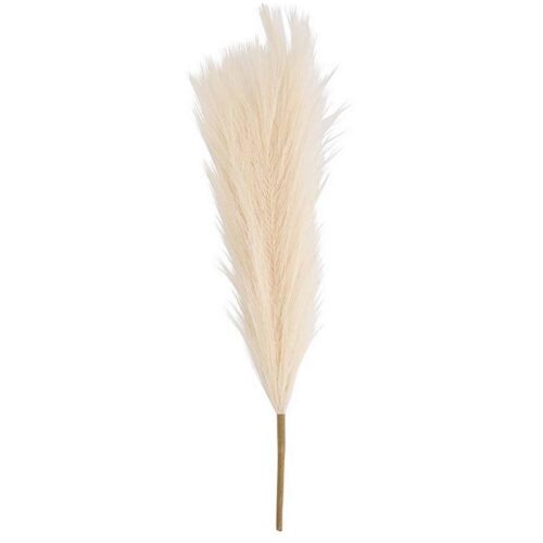 DESERT FEATHER PAMPAS STEM- CREAM