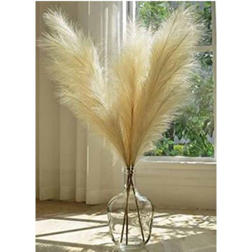 DESERT FEATHER PAMPAS GRASS MULTI BLOOM STEM