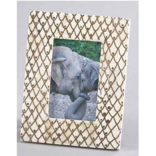 SCALED BONE PHOTO FRAME