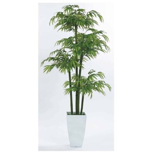 7′ BAMBOO TREE IN 83W