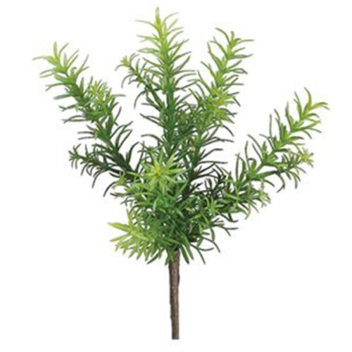 11″ ROSEMARY BUSH