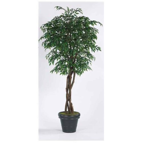 7’5″ SMILAX TREE IN CERAMIC POT