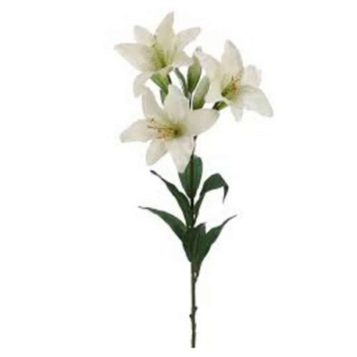 CASA BLANCA LILY SPRAY 36″