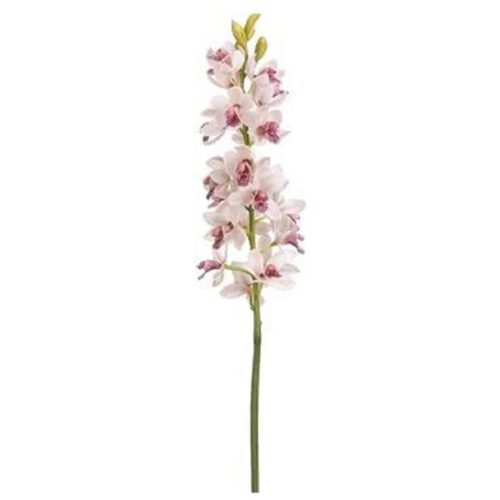 CYMBIDIUM ORCHID SPRAY